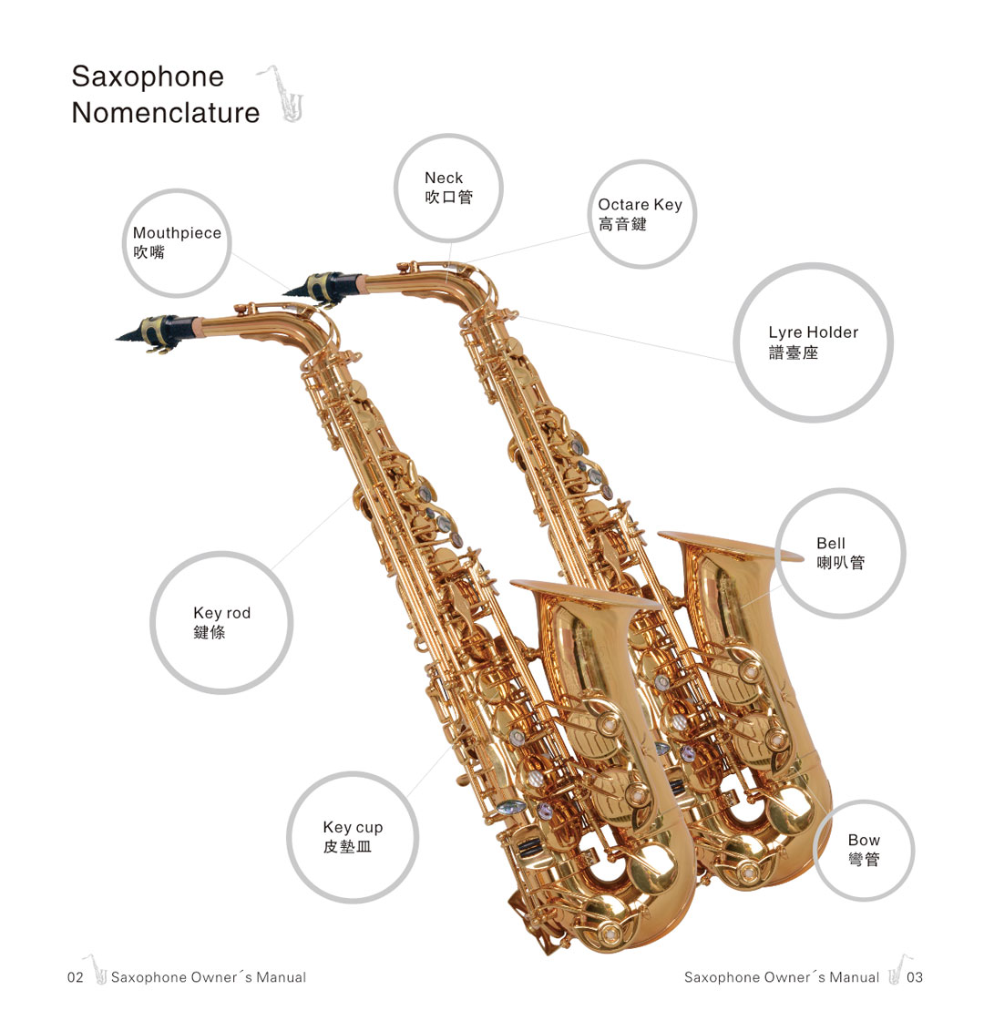 杰爾威斯薩克斯保養手冊_3 杰爾威斯薩克斯保養手冊_3