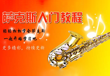 零基礎薩克斯教學視頻 零基礎薩克斯教學視頻